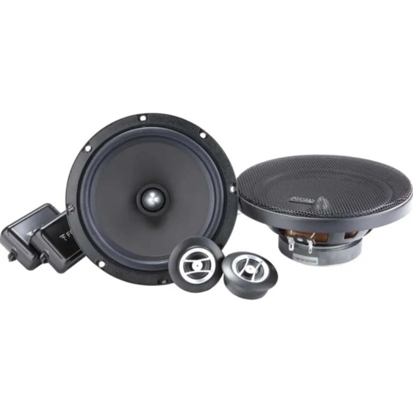 ������� Focal Auditor ASE-165 �����������