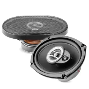 ������� Focal Auditor RCX-690